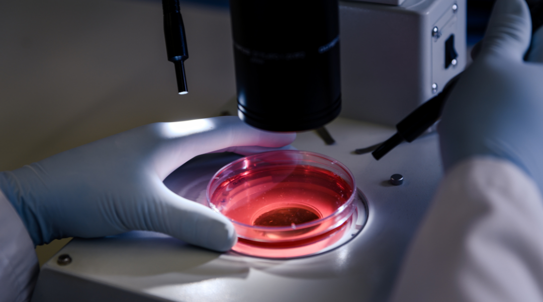 Microscopic laboratory examination