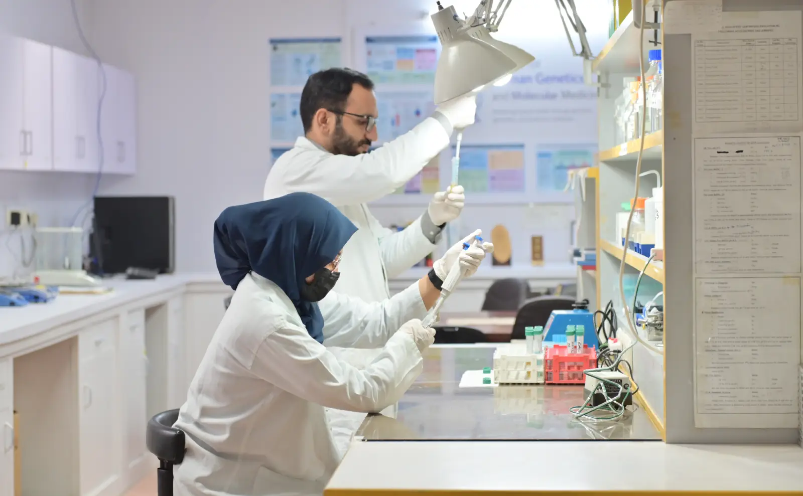Laboratory professional working with diagnostic specimens
